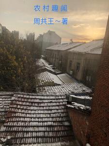 农村趣闻农村趣闻