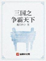 三国之争霸天下三国之争霸天下